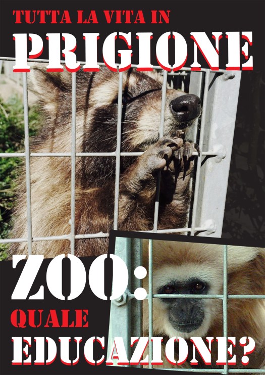 zoo_volantino_2016-fronte