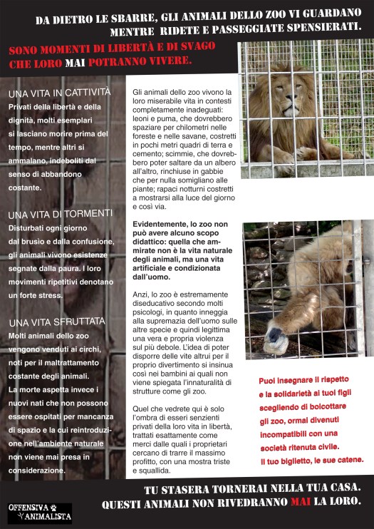 zoo_volantino_2016-retro