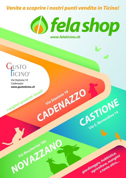 fela_rivistacarnevale